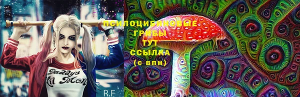 гидропоника Алексин