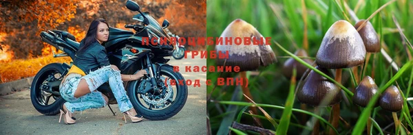 винт Алексеевка
